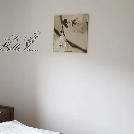 Maison Cancela 3* Siguer